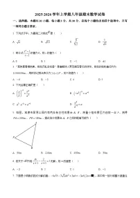 八年级上学期期末数学试题（原卷版无答案）