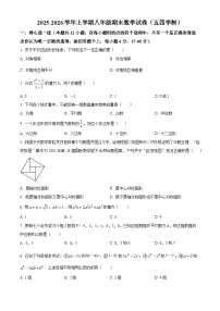 八年级上学期期末数学试题（原卷版无答案）