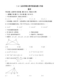八年级上学期期末数学试题（原卷版无答案）