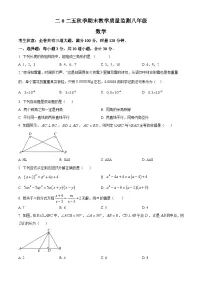 八年级上学期期末数学试题（原卷版无答案）