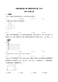 初中北师大版（2024）1 探索勾股定理巩固练习