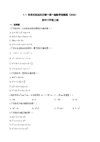初中1.1 多项式的因式分解课时作业