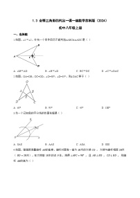 初中数学苏科版（2024）八年级上册（2024）1.3 全等三角形的判定随堂练习题