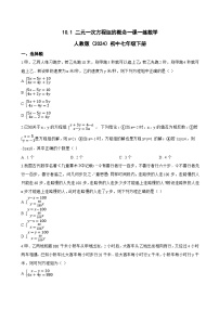 数学七年级下册（2024）二元一次方程组的概念当堂检测题