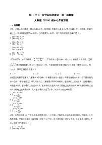 数学七年级下册（2024）二元一次方程组的概念当堂检测题