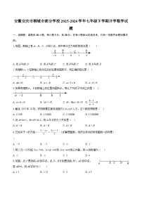 安徽安庆市桐城市部分学校2025-2026学年七年级下学期开学数学试题-自定义类型