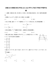 安徽安庆市桐城市部分学校2025-2026学年九年级下学期开学数学试题-自定义类型