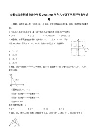 安徽安庆市桐城市部分学校2025-2026学年八年级下学期开学数学试题-自定义类型