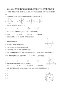 2025-2026学年安徽省安庆市望江县九年级（下）开学数学练习卷（含答案+解析）