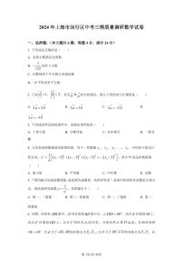 2024年上海市闵行区中考三模数学试题（含答案）