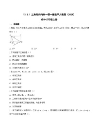 初中数学人教版（2024）八年级上册（2024）13.3.1 三角形的内角综合训练题