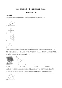 初中数学14.3 角的平分线课堂检测