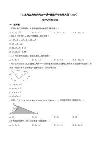 初中数学华东师大版（2024）八年级上册（2024）2. 直角三角形的判定习题