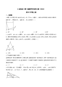 初中数学华东师大版（2024）八年级上册（2024）2. 边角边当堂达标检测题