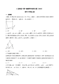 初中数学华东师大版（2024）八年级上册（2024）2. 边角边当堂达标检测题
