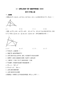 初中数学青岛版（2024）八年级上册（2024）第2章 全等三角形2.1 全等三角形课时练习