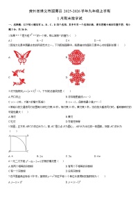 2025-2026学年贵州省遵义市湄潭县九年级上学期1月期末数学试卷（学生版）