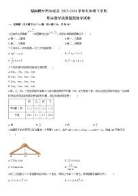 2025-2026学年湖南郴州市汝城县九年级下学期期末教学质量监测数学试卷（学生版）