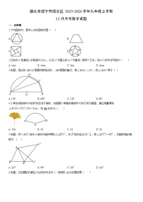 2025-2026学年湖北省咸宁市咸安区九年级上学期12月月考数学试卷（学生版）