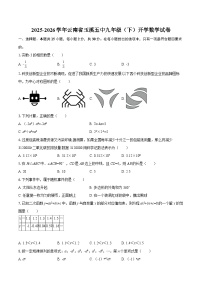 2025-2026学年云南省玉溪五中九年级（下）开学数学试卷-自定义类型