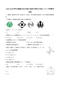 2025-2026学年安徽省安庆市望江县部分学校九年级（下）开学数学试卷-自定义类型