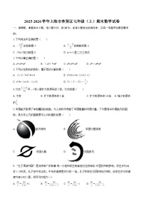 2025-2026学年上海市奉贤区七年级（上）期末数学试卷-自定义类型