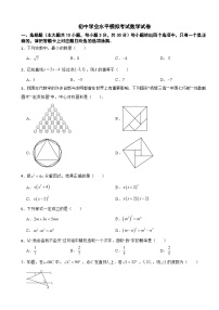 广东省汕头市潮南区2026年初中学业水平模拟考试数学试卷附答案