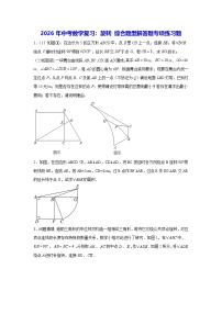 2026年中考数学复习：旋转 综合题型解答题专项练习题（含答案解析）