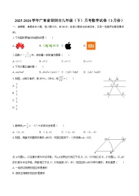 2025-2026学年广东省深圳市九年级（下）月考数学试卷（3月份）-自定义类型