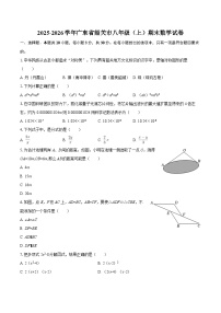 2025-2026学年广东省韶关市八年级（上）期末数学试卷-自定义类型