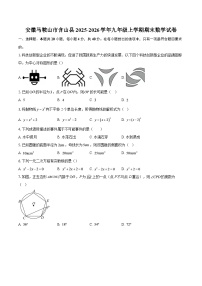 安徽马鞍山市含山县2025-2026学年九年级上学期期末数学试卷-自定义类型