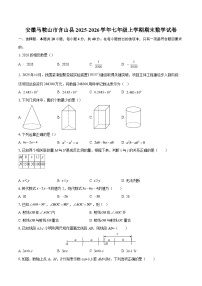 安徽马鞍山市含山县2025-2026学年七年级上学期期末数学试卷-自定义类型