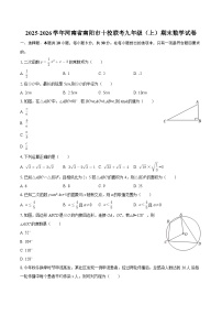 2025-2026学年河南省南阳市十校联考九年级（上）期末数学试卷-自定义类型