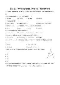 2025-2026学年江苏省盐城市八年级（上）期末数学试卷-自定义类型