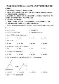 2023-2024学年河北省石家庄市桥西区八年级下学期期末数学试题