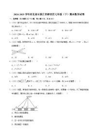 2024-2025学年河北省石家庄市桥西区七年级（下）期末数学试卷