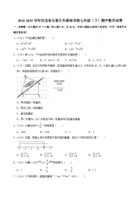 2024-2025学年河北省石家庄外国语学校七年级（下）期中数学试卷