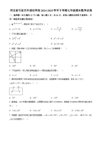 2024-2025学年河北省石家庄外国语学校七年级下学期期末数学试卷