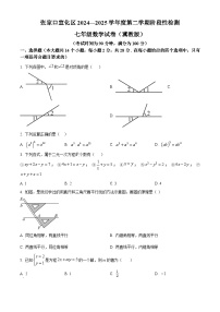 2024-2025学年河北省张家口市宣化区七年级下学期期中考试数学试题
