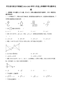 河北省石家庄市栾城区2024-2025学年八年级上学期期中考试数学试题