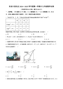 河北省张家口市宣化区2024-2025学年九年级上学期期中数学试题