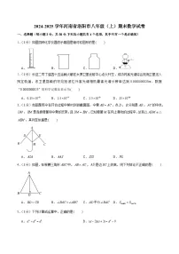 2024-2025学年河南省洛阳市八年级（上）期末数学试卷