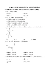 2024-2025学年河南省洛阳市七年级（下）期末数学试卷