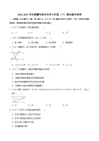 2024-2025学年新疆乌鲁木齐市七年级（下）期末数学试卷