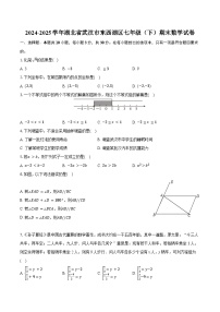 湖北省武汉市东西湖区2024—2025学年下学期七年级期末数学试卷