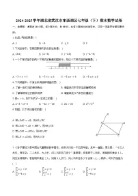 湖北省武汉市东西湖区2024—2025学年下学期七年级期末数学试卷
