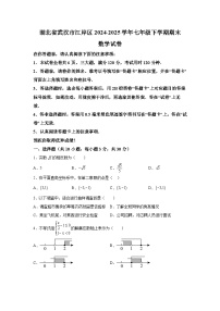 湖北省武汉市江岸区2024-2025学年七年级下学期期末数学试卷