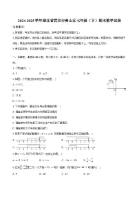 湖北省武汉市青山区2024-2025学年七年级下学期期末数学试题