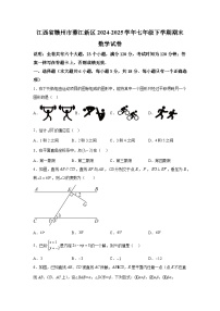 江西省赣州市蓉江新区2024-2025学年七年级下学期期末数学试卷