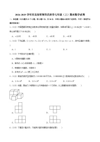 2024-2025学年河北省邯郸市武安市七年级（上）期末数学试卷